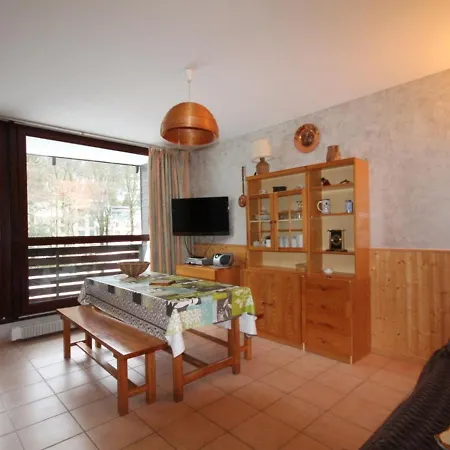 T2 Avec Balcon Et Wi-fi Au Mont-dore, Proche Centre Et Thermes - Fr-1-608-193 Apartment